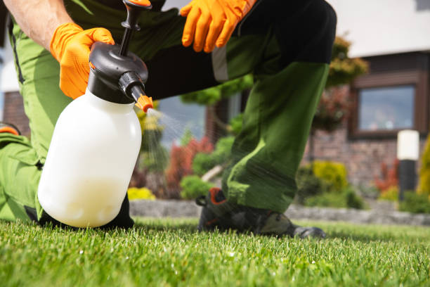 Best Emergency Pest Control  in Genoa City, WI