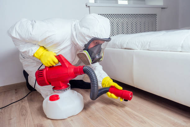 Best Local Pest Control Services  in Genoa City, WI