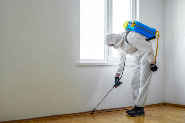 Best Pest Control for Businesses  in Genoa City, WI