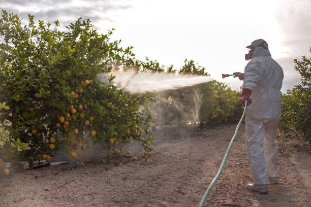 Best Residential Pest Control  in Genoa City, WI