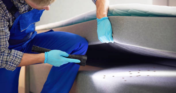 Flea Control Services in Genoa City, WI
