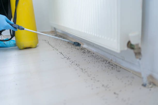 Best Best Pest Control Companies  in Genoa City, WI